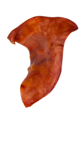 אוזן חזיר טבעית גדולה