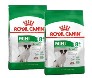 מארז 2 שקים רויאל קנין – מיני אדולט גילאים 8+ – 8 ק”ג