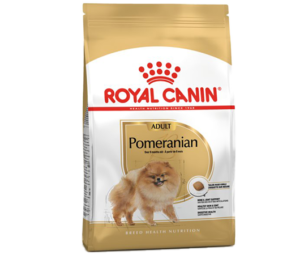 רויאל קנין – פומרניאן אדולט – 3 ק”ג